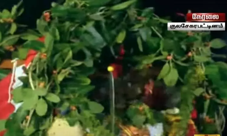 சேவல் உருவத்தில் வந்த மகிஷாசூரனை முத்தாரம்மன் வதம்... ... குலசேகரன்பட்டினம் முத்தாரம்மன் கோவிலில் சூரசம்ஹாரம்: லட்சக்கணக்கான பக்தர்கள் தரிசனம்