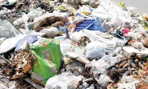 600 டன் குப்பைகள் அகற்றம் 600 டன் குப்பைகள் அகற்றம்