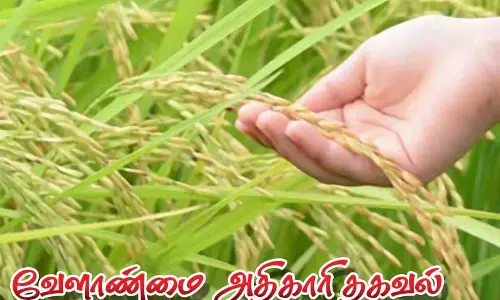 50 சதவீத  மானியத்தில் நெல் நுண்ணூட்ட உரங்கள்