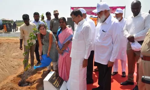 குறுங்காடுகள் வளர்ப்பு திட்டம்