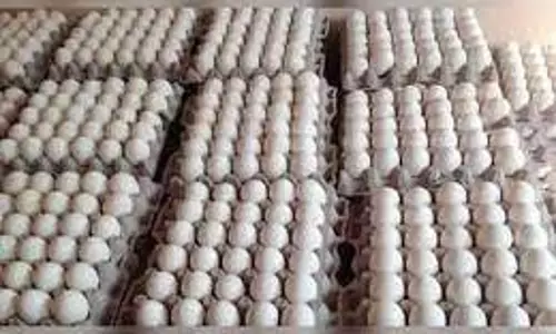 அங்கன்வாடி முட்டைகளை வீட்டில் இறக்கியதால் வேன் சிறைபிடிப்பு அங்கன்வாடி முட்டைகளை வீட்டில் இறக்கியதால் வேன் சிறைபிடிப்பு