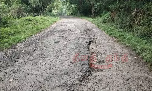 நவமலை சாலையை சீரமைக்க ரூ.2 கோடி நிதி ஒதுக்கீடு