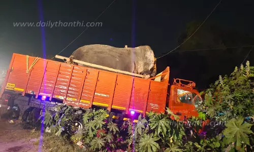 கர்நாடகாவில் தசரா விழாவில் பங்கேற்று திரும்பியபோது  யானையை ஏற்றி வந்த லாரி பள்ளத்தில் பாய்ந்தது  சக்கரத்தில் சிக்கி டிரைவர் பரிதாப சாவு