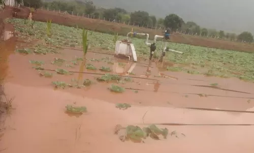 கூடலூர் அருகே விளை நிலங்களுக்குள் புகுந்த மழைநீர்