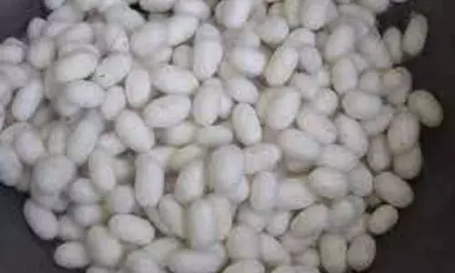 ரூ.12¾ லட்சத்துக்கு பட்டுக்கூடு விற்பனை