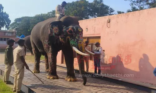 தசரா யானைகளின் எடை அளவு கூடியது