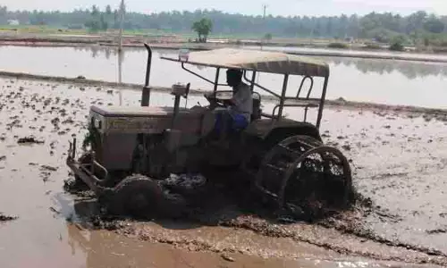 டிராக்டர் மூலம் உழவு பணி