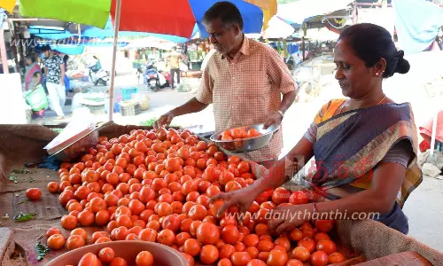 ஈரோடு காய்கறி மார்க்கெட்டுக்கு தக்காளி வரத்து குறைந்ததால் விலை உயர்வு- கிலோ ரூ.30-க்கு விற்பனை