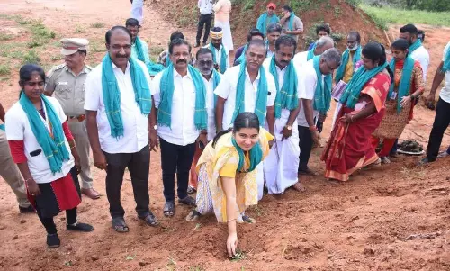 பனை விதைகள் நடும் நிகழ்ச்சி