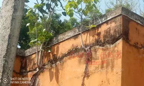 பழுதடைந்த நிலையில் உள்ள கிளை நூலக கட்டிடங்களை சீரமைக்க வேண்டும் பழுதடைந்த நிலையில் உள்ள கிளை நூலக கட்டிடங்களை சீரமைக்க வேண்டும்