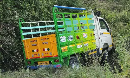 விக்கிரவாண்டி அருகே லாரி மோதி பள்ளத்துக்குள் பாய்ந்த சரக்கு வாகனம் விக்கிரவாண்டி அருகே லாரி மோதி பள்ளத்துக்குள் பாய்ந்த சரக்கு வாகனம்