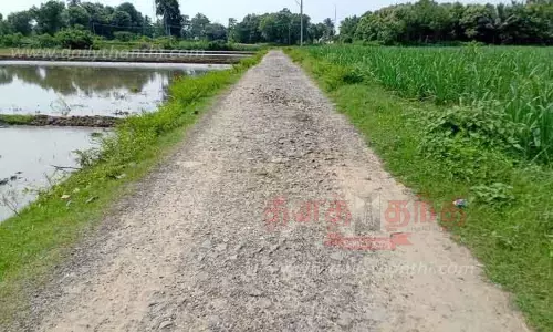 ஜல்லிகள் பெயர்ந்து சேதமான சாலையை சீரமைக்க வேண்டும் ஜல்லிகள் பெயர்ந்து சேதமான சாலையை சீரமைக்க வேண்டும்