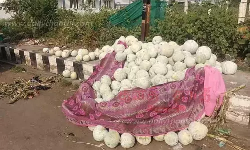 ஆயுத பூஜையையொட்டி விற்பனையாகாத பூசணிக்காய்களை சாலையோரம் கொட்டிச் சென்ற அவலம் ஆயுத பூஜையையொட்டி விற்பனையாகாத பூசணிக்காய்களை சாலையோரம் கொட்டிச் சென்ற அவலம்