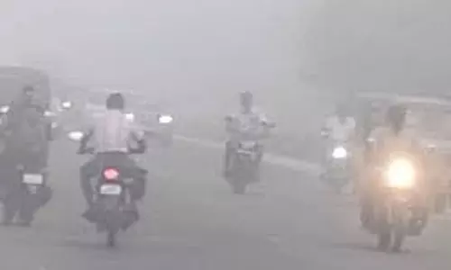 அய்யம்பேட்டை பகுதியில் கடும் பனிப்பொழிவு