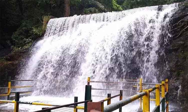 சுருளி அருவியில் வெள்ளப்பெருக்கு - சுற்றுலா பயணிகள் குளிக்க தடை