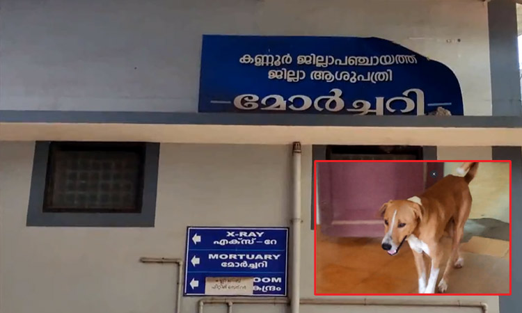 கேரளாவில் ஒரு ஹசிகோ...!! பிரேத அறைக்கு வெளியே 4 மாதங்களாக காத்திருக்கும் 'ராமு'