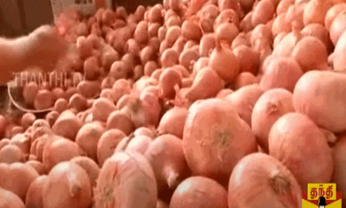 தொடர்ந்து உயர்ந்துவரும் வெங்காய விலை- மத்திய அரசு எடுத்த அதிரடி முடிவு