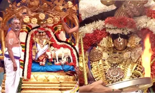 பிரம்மோற்சவம்.. மாட வீதிகளில் வலம் வந்து பக்தர்களுக்கு அருள்பாலித்த பத்மாவதி தாயார் பிரம்மோற்சவம்.. மாட வீதிகளில் வலம் வந்து பக்தர்களுக்கு அருள்பாலித்த பத்மாவதி தாயார்