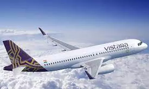 ரன்வேயில் நுழைந்த தெரு நாய்.. தரையிறங்காமல் திரும்பிச் சென்ற விஸ்தாரா விமானம்