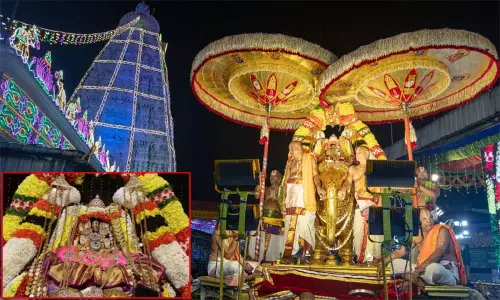 திருச்சானுர் பிரம்மோற்சவம்.. லட்சுமி கடாட்சமாக கஜ வாகனத்தில் வலம் வந்த தாயார் திருச்சானுர் பிரம்மோற்சவம்.. லட்சுமி கடாட்சமாக கஜ வாகனத்தில் வலம் வந்த தாயார்