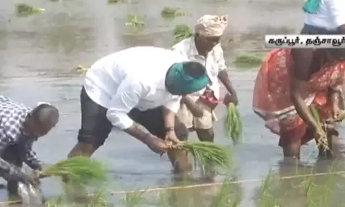 விவசாயிகளுடன் சேர்ந்து வயலில் இறங்கி நாற்று நட்ட பாஜக தலைவர் அண்ணாமலை..!