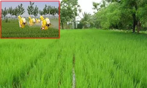 தெலுங்கானாவில் விவசாயிகளுக்கு நிதியுதவி வழங்க தேர்தல் ஆணையம் திடீர் தடை.. ஏன் தெரியுமா?