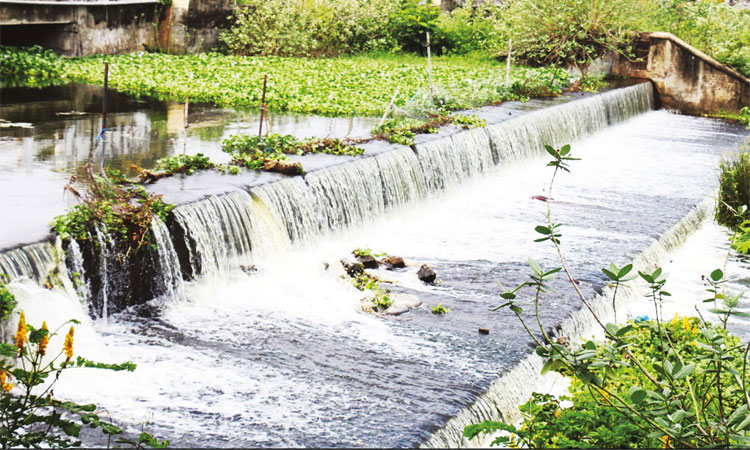 தொடர் மழை: தமிழகத்தில் 1,500 ஏரிகள் முழுமையாக நிரம்பின..!