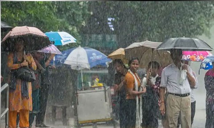 புயல் எதிரொலி: 4 மாவட்டங்களுக்கு பொதுவிடுமுறை