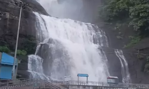 தொடர்மழை: குற்றால அருவிகளில் குளிக்க 2-வது நாளாக தடை தொடர்மழை: குற்றால அருவிகளில் குளிக்க 2-வது நாளாக தடை