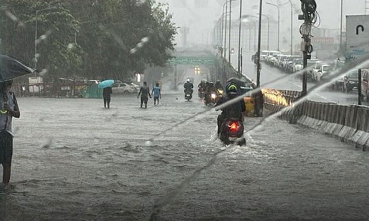 சென்னையை புரட்டி எடுக்கும் கனமழை: பாதிக்கப்பட்டவர்கள் தொடர்பு கொள்ள உதவி எண்களை அறிவித்த அதிமுக..!