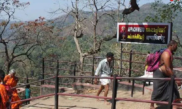 சபரிமலை அய்யப்பனை தரிசிக்க சென்ற தமிழ்நாட்டை சேர்ந்த 10 வயது சிறுமி உயிரிழப்பு