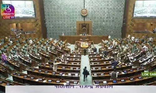 நாடாளுமன்ற அவையில் அத்துமீறி நுழைந்த நபரிடம் பா.ஜ.க. எம்.பி.யின் பெயரிலான அனுமதி பாஸ்