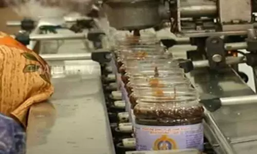 பழனி பஞ்சாமிர்த பிரசாதத்திற்கு ரசீது - மதுரை ஐகோர்ட்டு கிளையில் தமிழக அரசு தகவல்