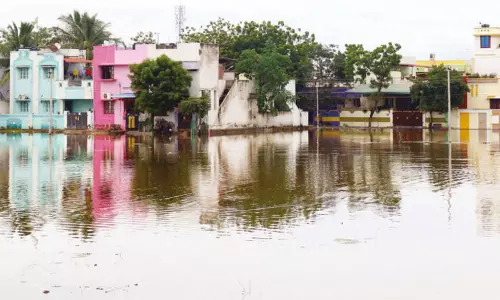 கனமழை பாதிப்பு: தூத்துக்குடி மாவட்டத்திற்கு இன்று உள்ளூர் விடுமுறை அறிவிப்பு...!
