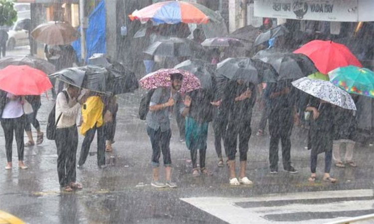 தமிழகத்தில் அடுத்த 7 நாட்களுக்கு மிதமான மழைக்கு வாய்ப்பு