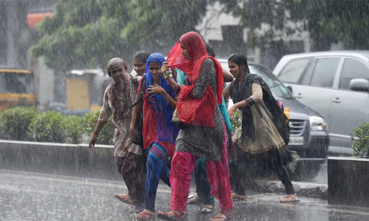 தென் மாவட்டங்களில் 3 நாட்களுக்கு கனமழை எச்சரிக்கை- வானிலை மையம் அறிவிப்பு