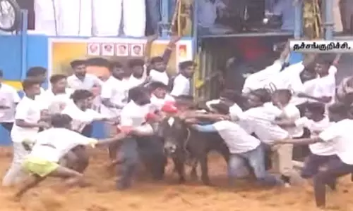 புதுக்கோட்டை தச்சங்குறிச்சியில் முதல் ஜல்லிக்கட்டு போட்டியை நடத்த அனுமதி வழங்கி அரசாணை வெளியீடு