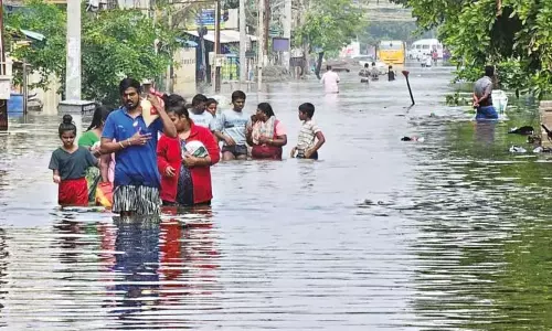 நெல்லை மாவட்டத்தில்  92 சதவீத நிவாரண தொகை வழங்கப்பட்டுள்ளது: கலெக்டர் தகவல்