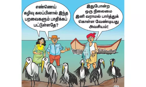 படகுகள் சீரமைப்பு; பறவைகள் மீட்பு!