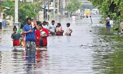நெல்லையில் நிவாரண தொகை பெற இன்றே கடைசி நாள் - மாவட்ட கலெக்டர் அறிவிப்பு