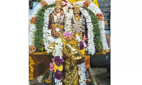 காஞ்சீபுரம் சித்தீஸ்வரர் கோவிலில் தங்க முலாம் பூசப்பட்ட நந்தி: பக்தர்கள் தரிசனம்