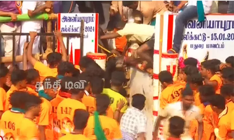 அவனியாபுரம் ஜல்லிக்கட்டு: 3 ஆம் சுற்று தொடங்கியது அவனியாபுரம் ஜல்லிக்கட்டு: 3 ஆம் சுற்று தொடங்கியது