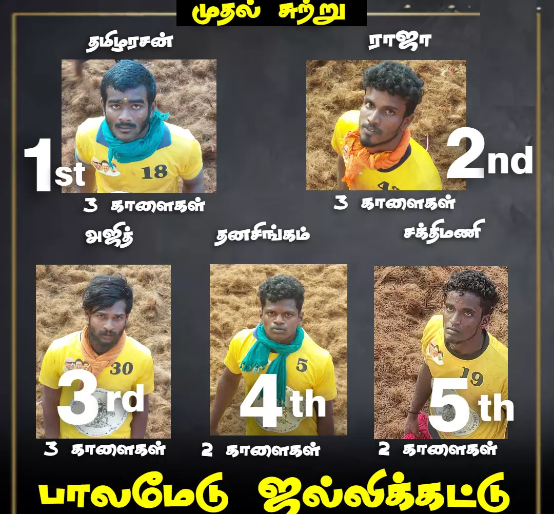 பாலமேடு ஜல்லிக்கட்டுப் போட்டியின் முதல் சுற்று... ... சீறிப்பாயும் காளைகள்.. அடக்கும் காளையர்கள்... விறுவிறுப்பாக நடைபெறும் பாலமேடு ஜல்லிக்கட்டு