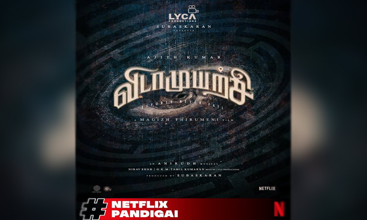 பொங்கலை முன்னிட்டு வெளியான அஜித்தின் 'விடாமுயற்சி' அப்டேட் - ரசிகர்கள் கொண்டாட்டம்..!