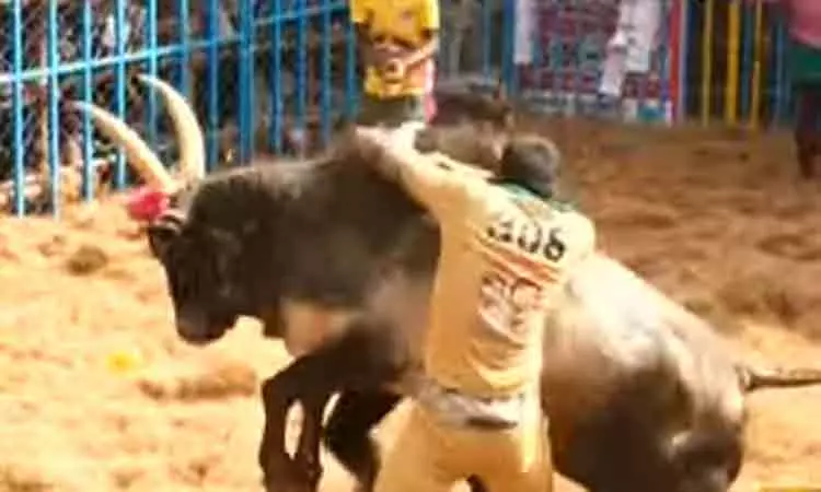 அலங்காநல்லூர் ஜல்லிக்கட்டு போட்டியில் 11 காளைகளை... ... அனல் பறக்கும் அலங்காநல்லூர் ஜல்லிக்கட்டு... காளைகளுடன் மல்லுக்கட்டும் காளையர்கள் அலங்காநல்லூர் ஜல்லிக்கட்டு போட்டியில் 11 காளைகளை... ... அனல் பறக்கும் அலங்காநல்லூர் ஜல்லிக்கட்டு... காளைகளுடன் மல்லுக்கட்டும் காளையர்கள்