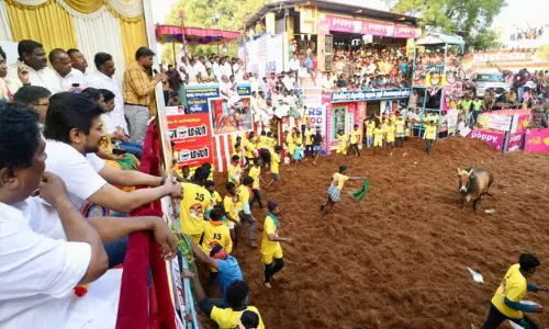 வீர விளையாட்டான ஜல்லிக்கட்டைப் போற்றுவோம், பாதுகாப்போம்- அமைச்சர் உதயநிதி ஸ்டாலின் வீர விளையாட்டான ஜல்லிக்கட்டைப் போற்றுவோம், பாதுகாப்போம்- அமைச்சர் உதயநிதி ஸ்டாலின்