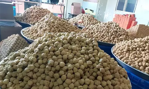 மத்திய பிரதேசத்தில் இருந்து 5 லட்சம் லட்டுகள் நாளை அயோத்திக்கு அனுப்பி வைக்கப்படுகிறது