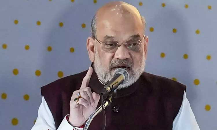 அடுத்த 3 ஆண்டுகளில் நக்சல் பிரச்சினையில் இருந்து நாடு விடுபடும் - மத்திய மந்திரி அமித்ஷா பேச்சு