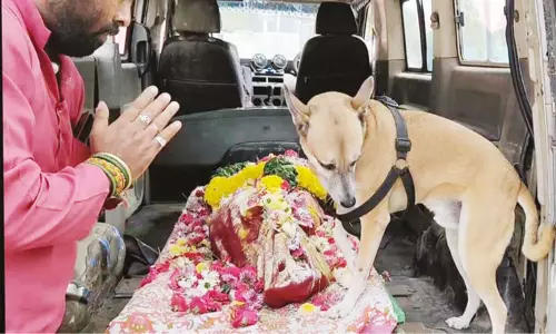 எஜமானி உடலுடன் சுடுகாடு வரை சென்று பாச போராட்டம் நடத்திய வளர்ப்பு நாய்