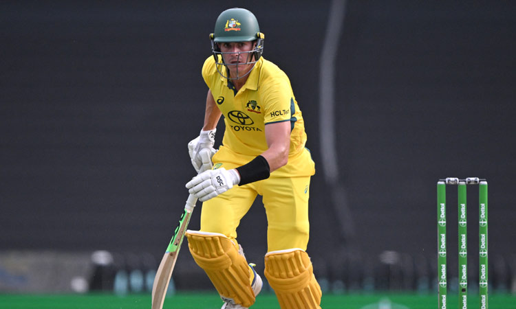 2வது ஒருநாள் போட்டி; சீன் அப்போட் அரைசதம்...ஆஸ்திரேலியா 258 ரன்கள் சேர்ப்பு